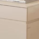 Beauty Luxury Living Room Cabinets Modern Trendy Delicacy Unique Storage Cabinet European Simple Woonkamer Kasten Furniture - Image 3